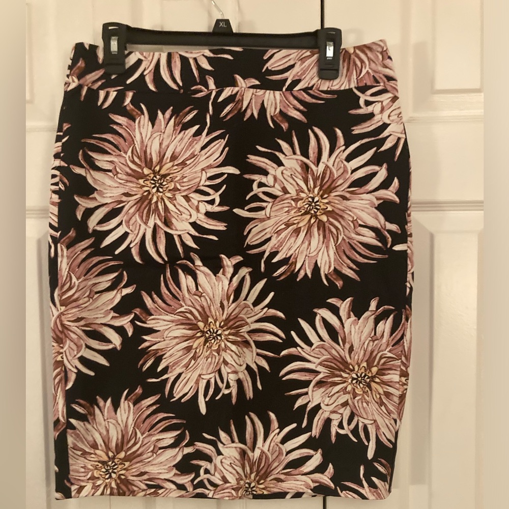 NWT Ann Taylor skirt